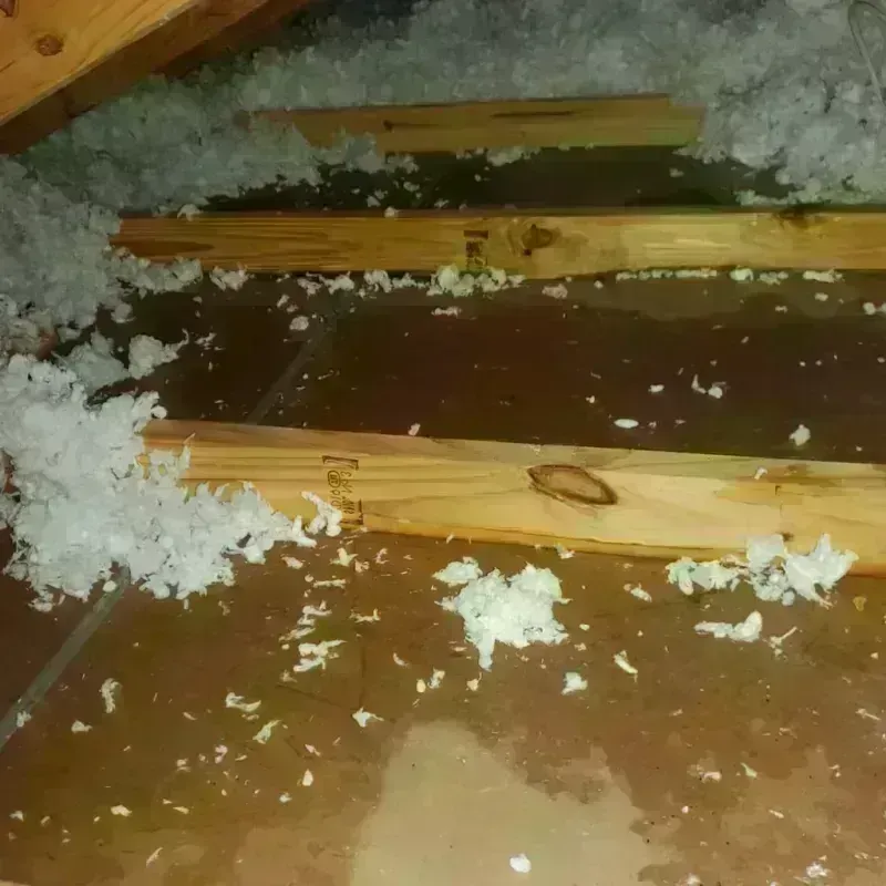 Attic Water Damage in Morristown, NJ